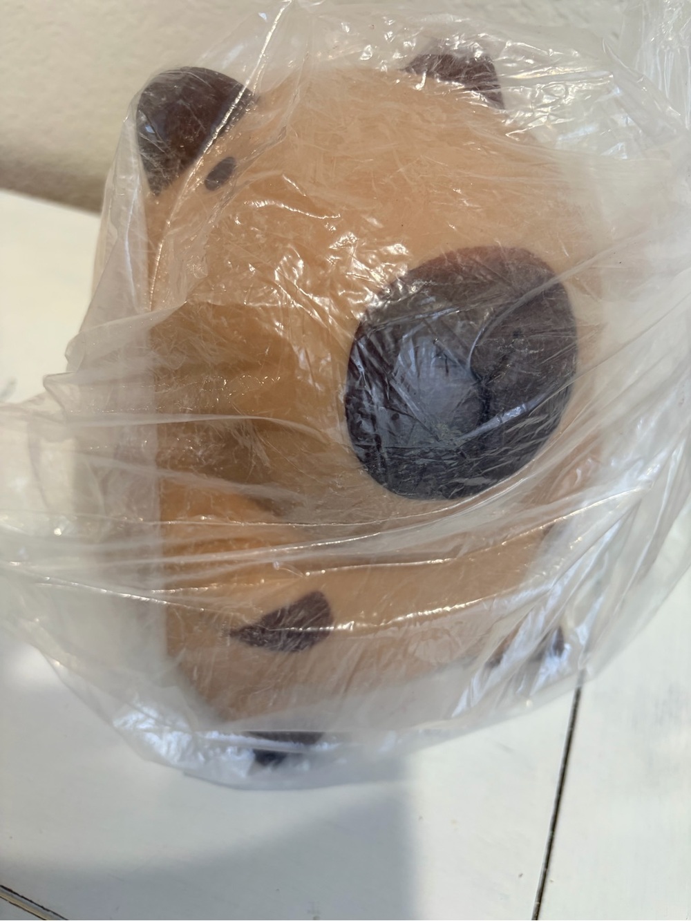 GIANT Capybara Squishy weighs over 4lbs
